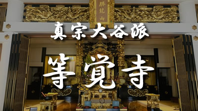 ぱぴぷペットのお葬式-オンライン法要の各寺院のサムネイル画像